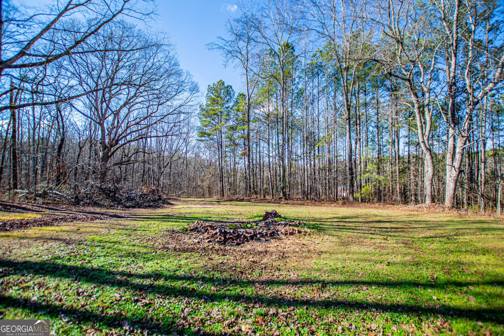 3646 Jones Mill Rd — photo 48 of 64