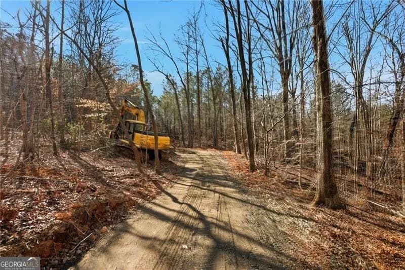 5.785 Acres On Orlando Path — photo 10 of 17