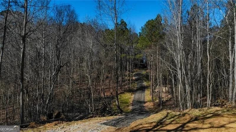 5.785 Acres On Orlando Path — photo 17 of 17