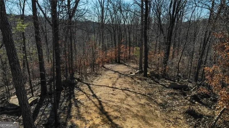 5.168 Acres On Pete Path — photo 5 of 9