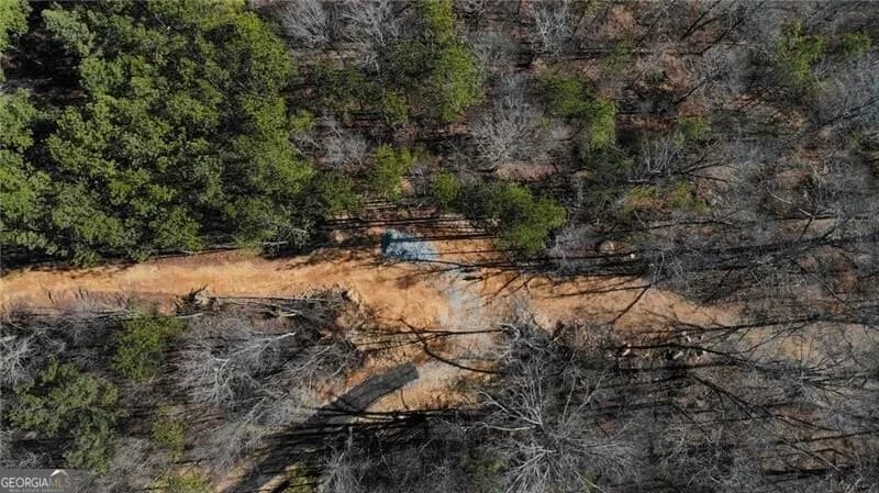 5.419 Acres On Pete Path — photo 12 of 15