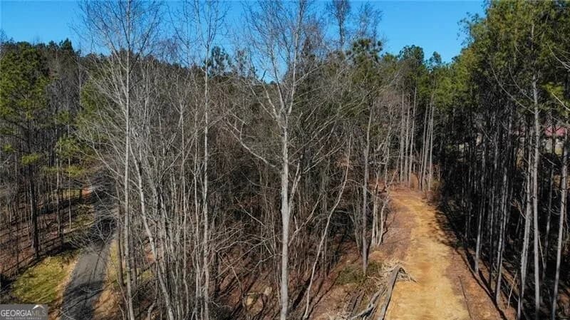 5.419 Acres On Pete Path — photo 11 of 15