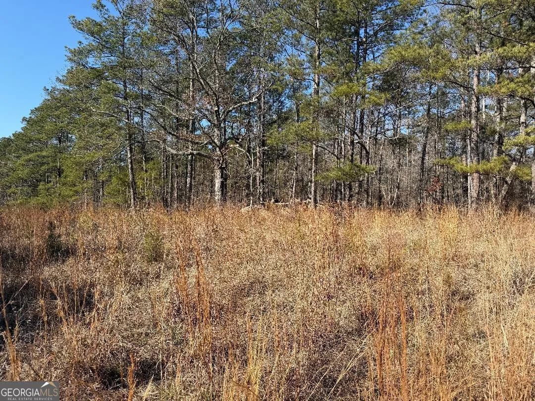 0 Haines Rd — photo 2 of 4