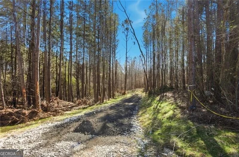 5.130 Acres On Orlando Path — photo 2 of 17