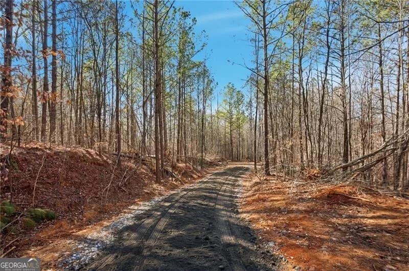 5.566 Acres On Orlando Path — photo 10 of 17