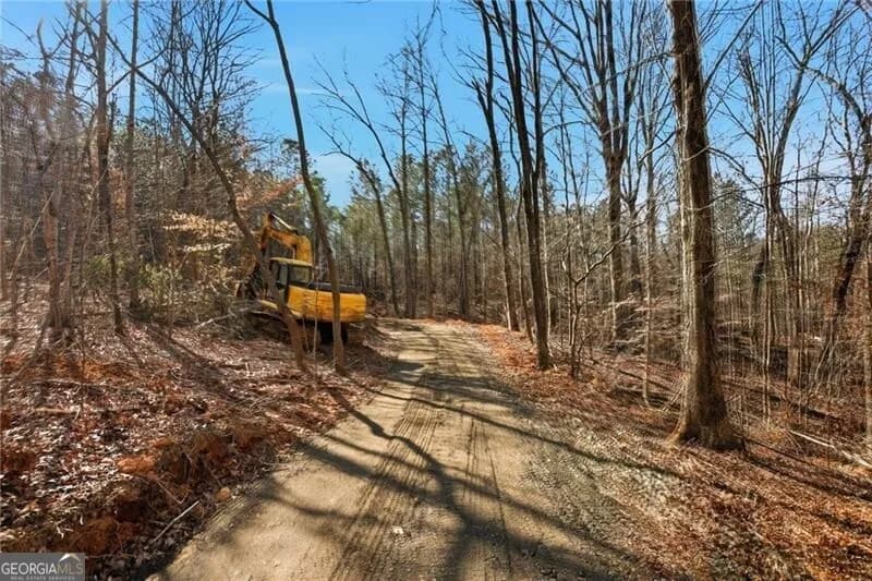 5.566 Acres On Orlando Path — photo 11 of 17