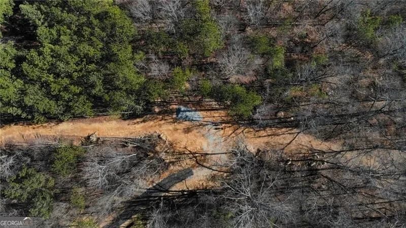 5.566 Acres On Orlando Path — photo 13 of 17