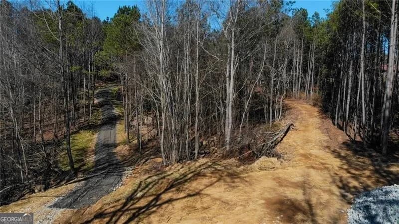 5.566 Acres On Orlando Path — photo 16 of 17