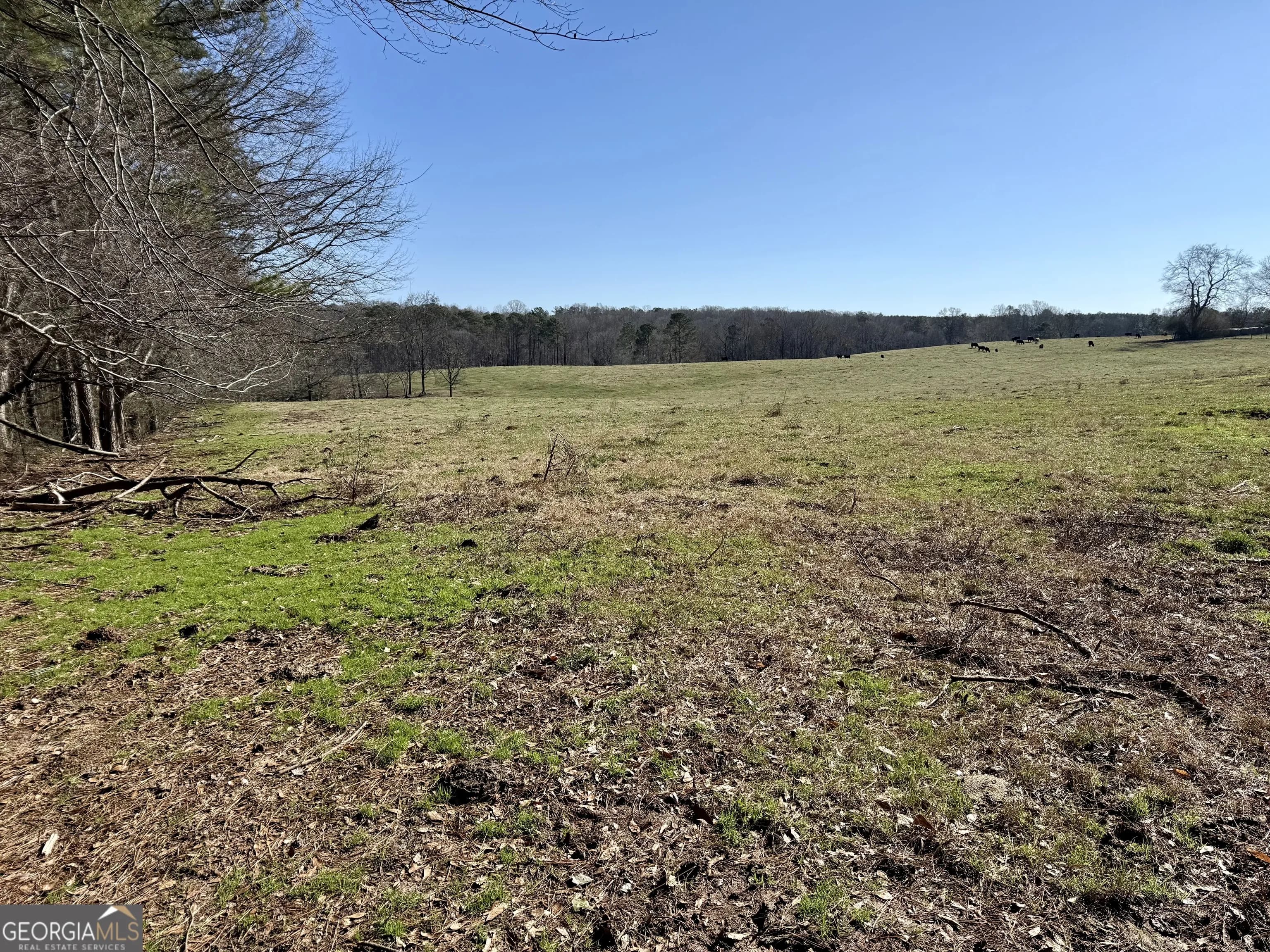1000 Kansas-jake Rd — photo 19 of 45