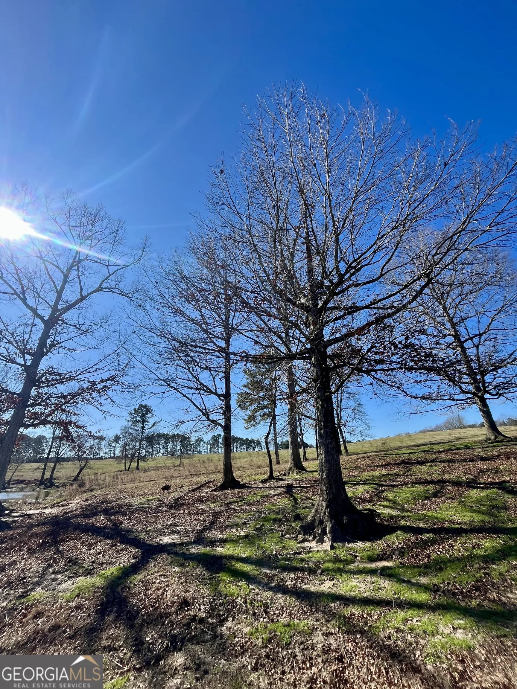 1000 Kansas-jake Rd — photo 40 of 45