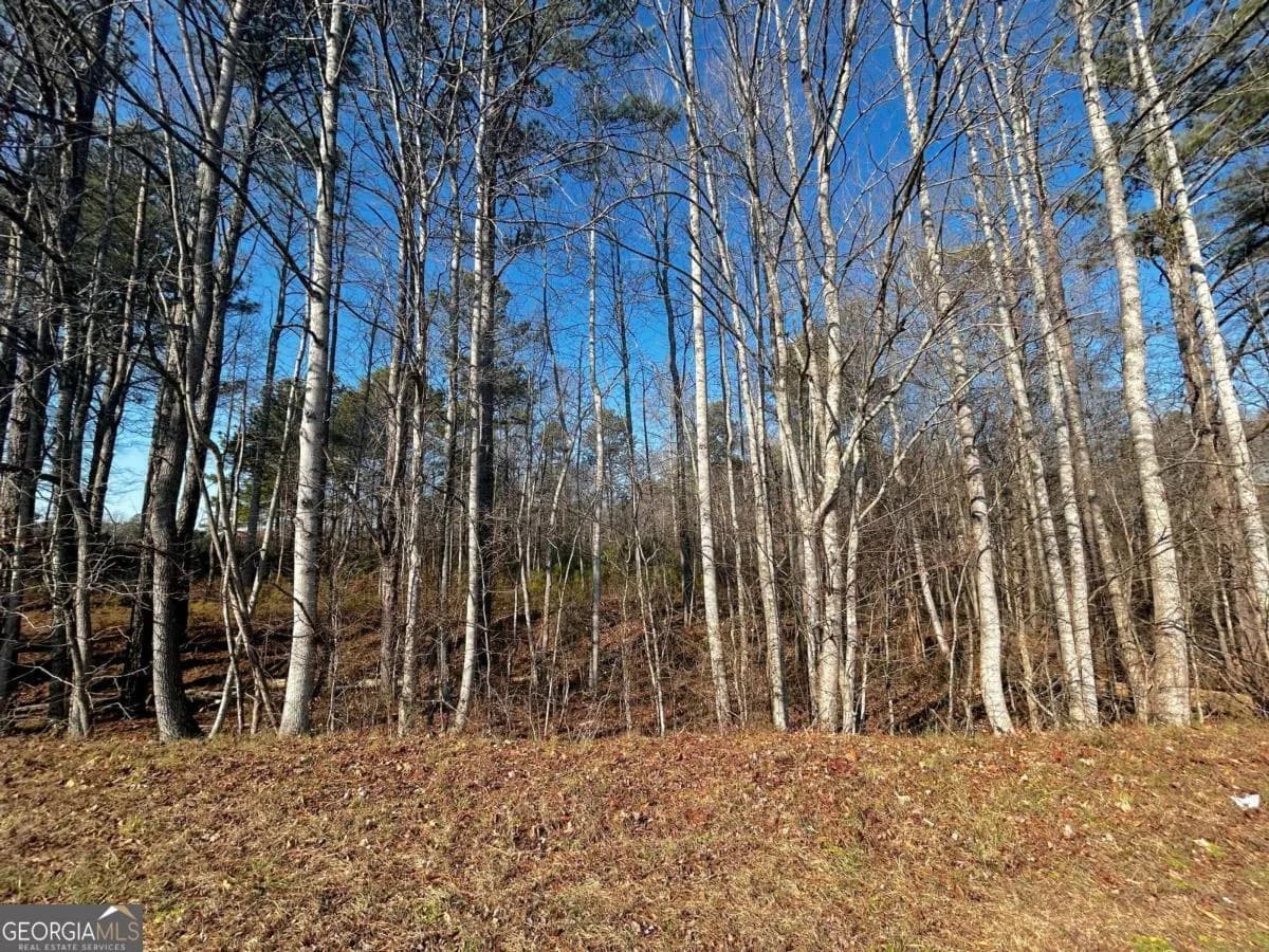 2013 Lake Paradise Rd, Villa Rica