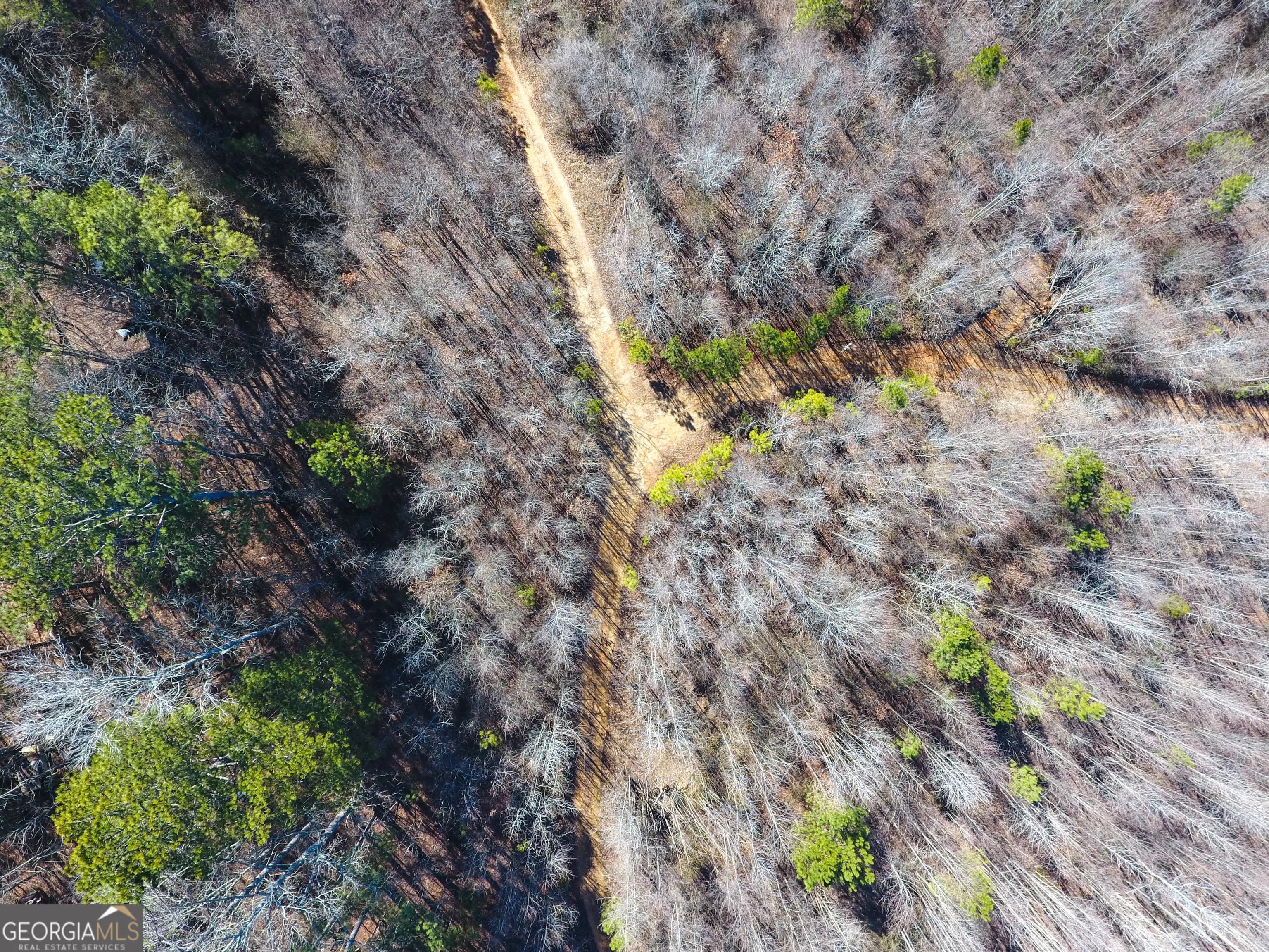 0 Wildcat Rd — photo 14 of 50