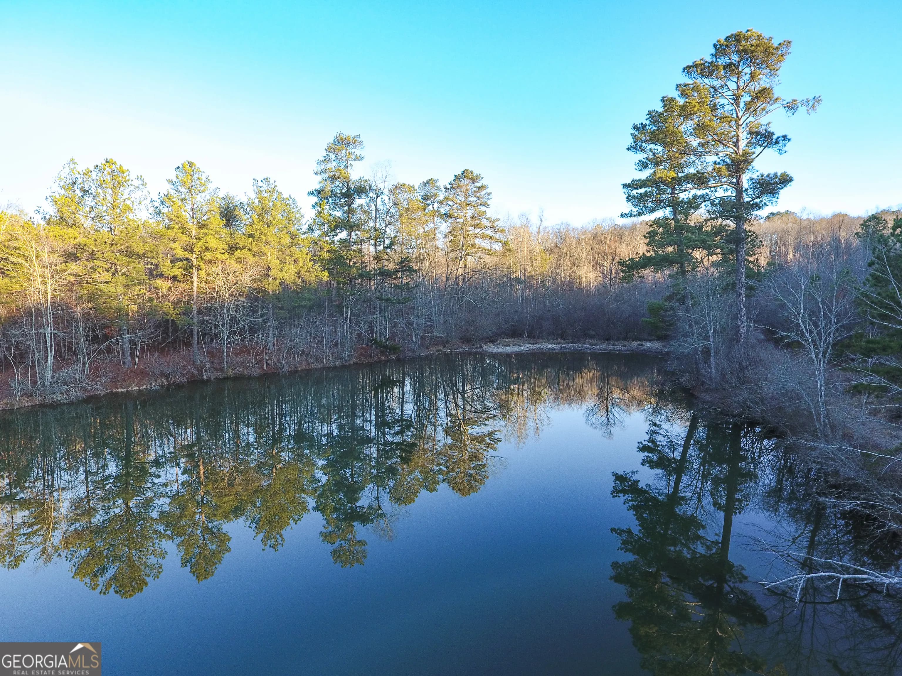 0 Wildcat Rd — photo 3 of 50