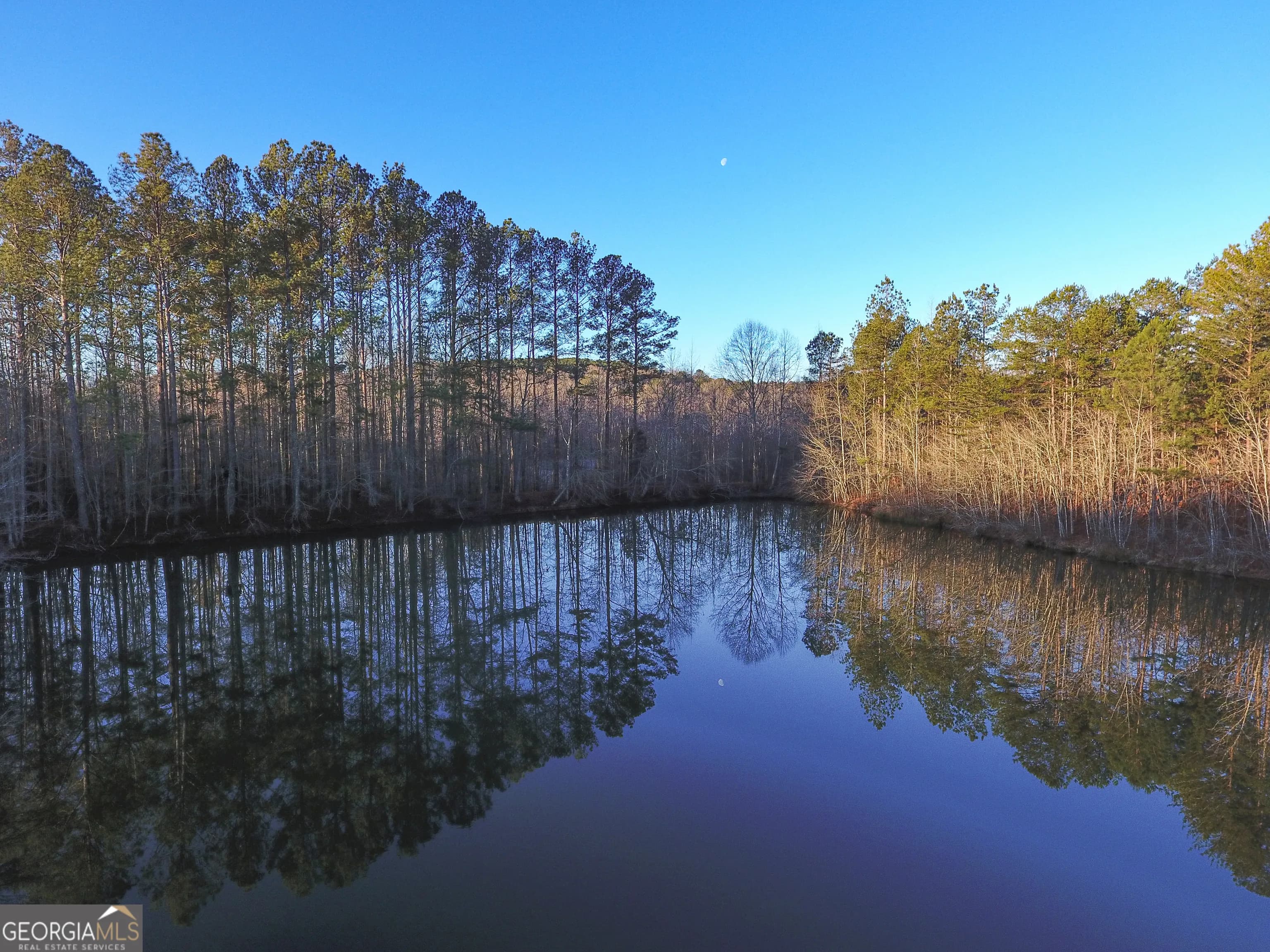 0 Wildcat Rd — photo 4 of 50