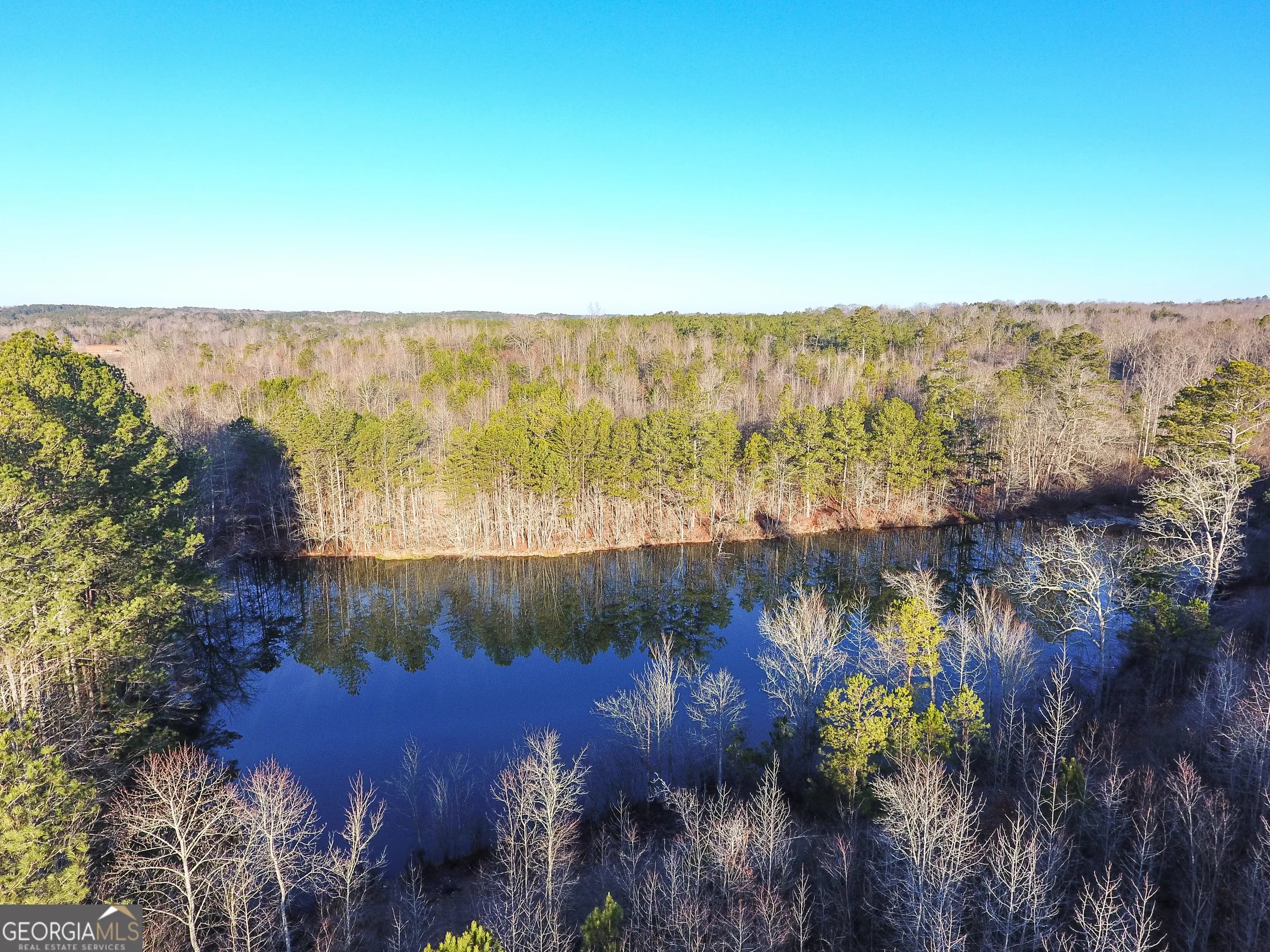 0 Wildcat Rd — photo 5 of 50