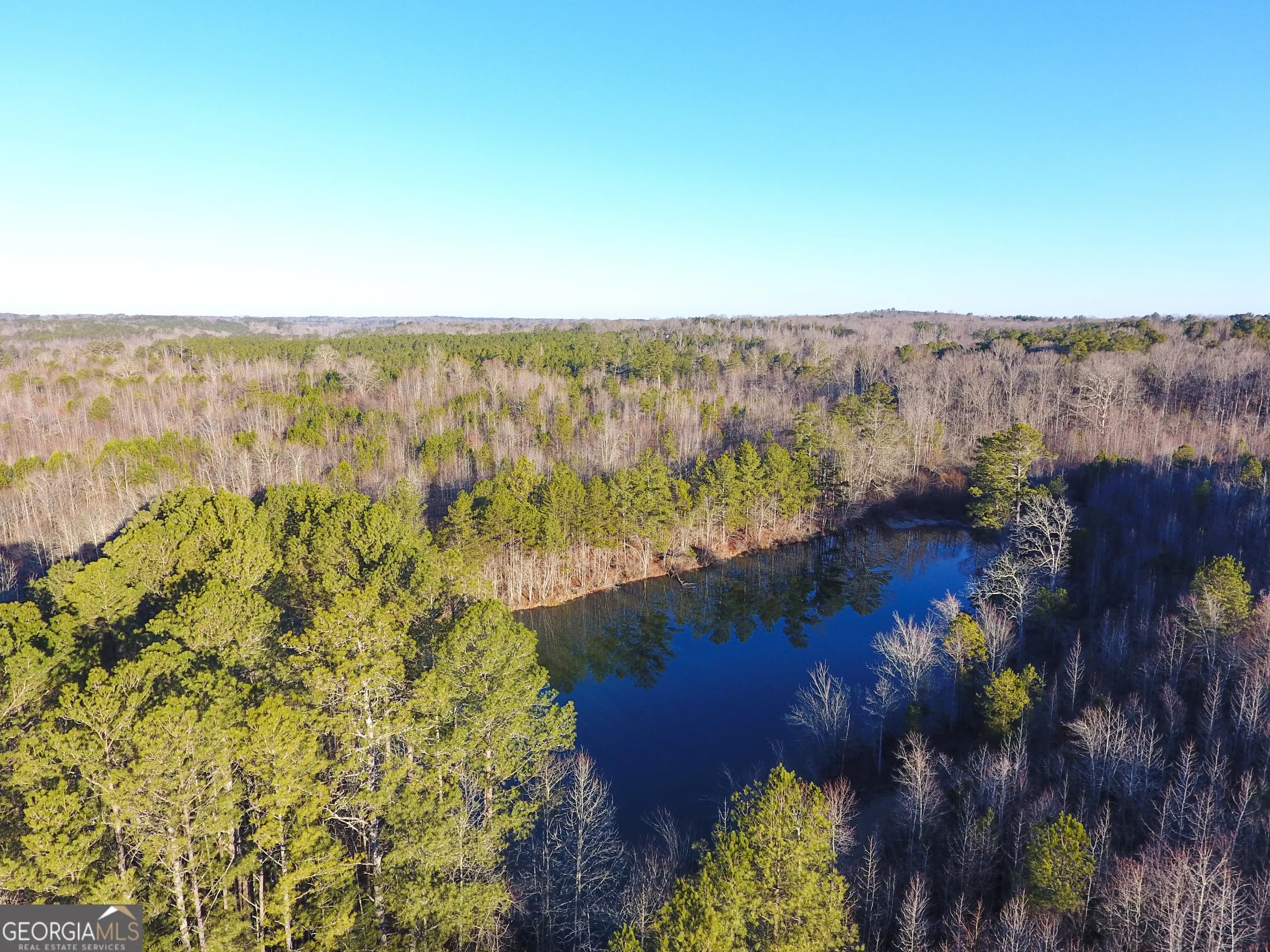 0 Wildcat Rd — photo 7 of 50