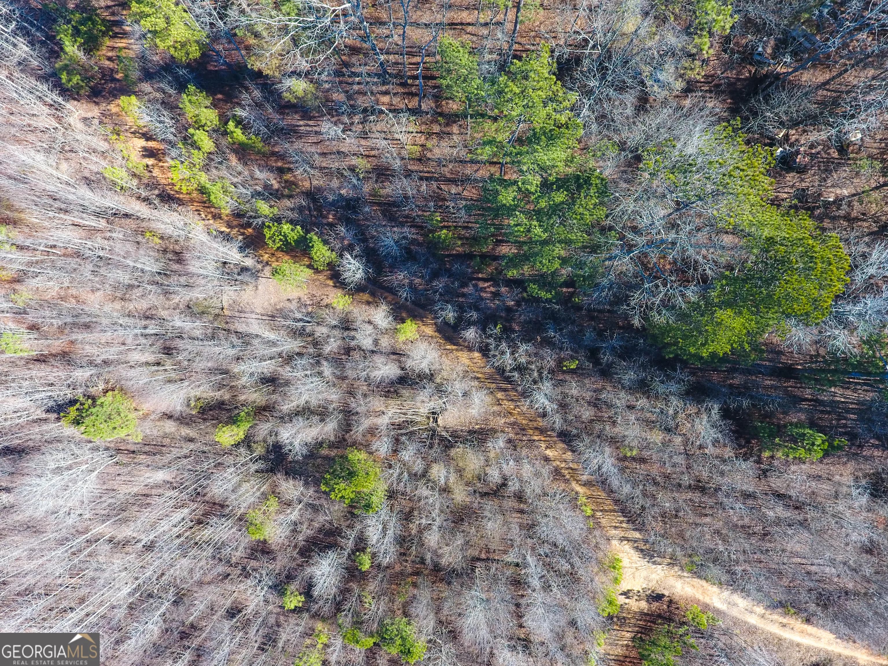 0 Wildcat Rd — photo 12 of 50