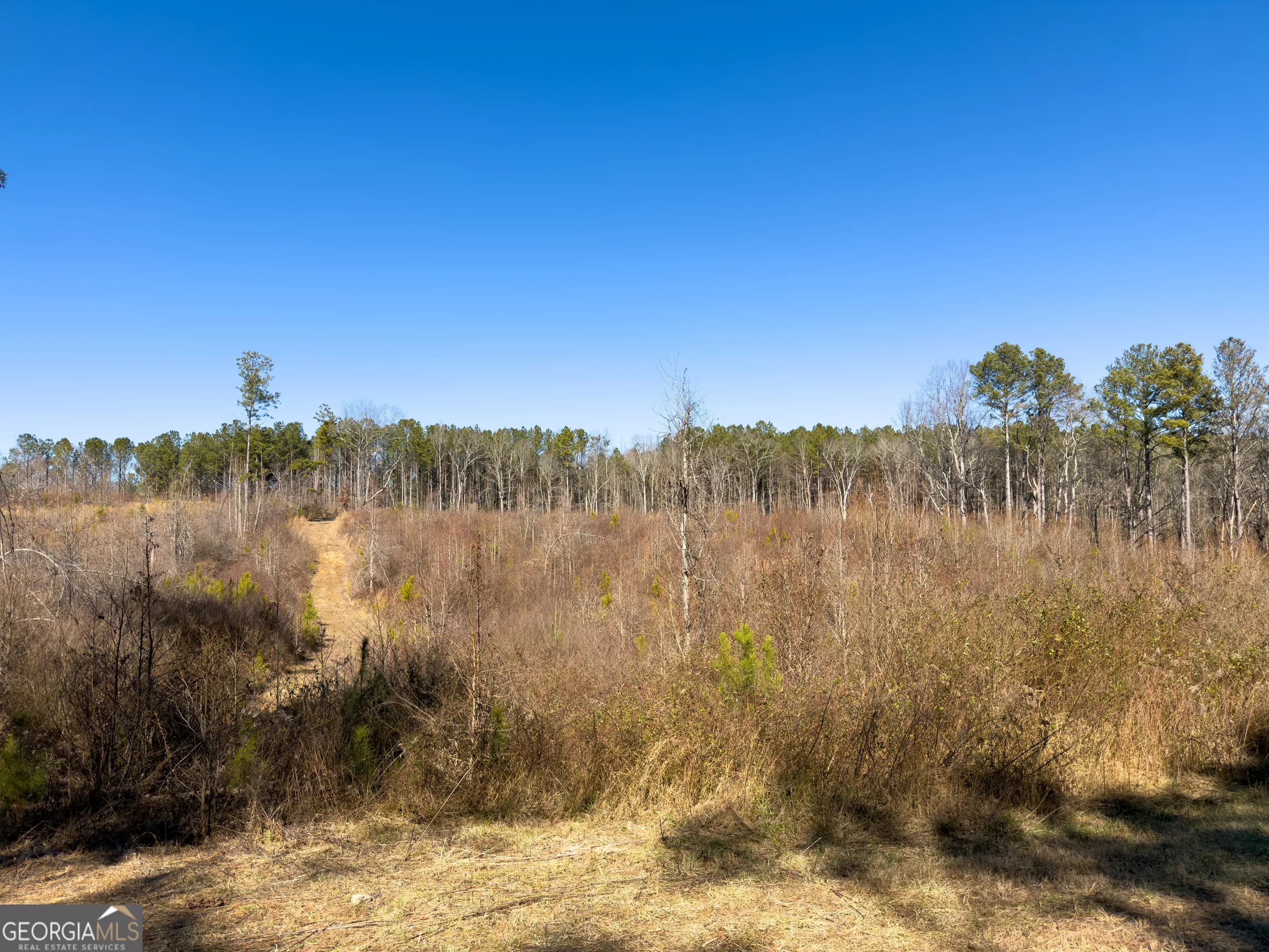 0 Steadman Rd — photo 18 of 42