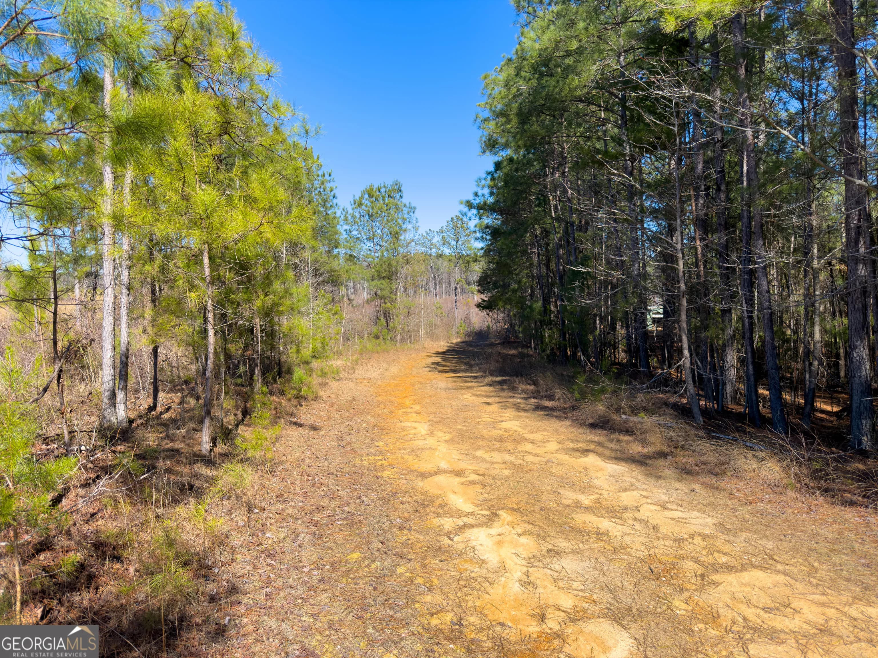 0 Steadman Rd — photo 15 of 42