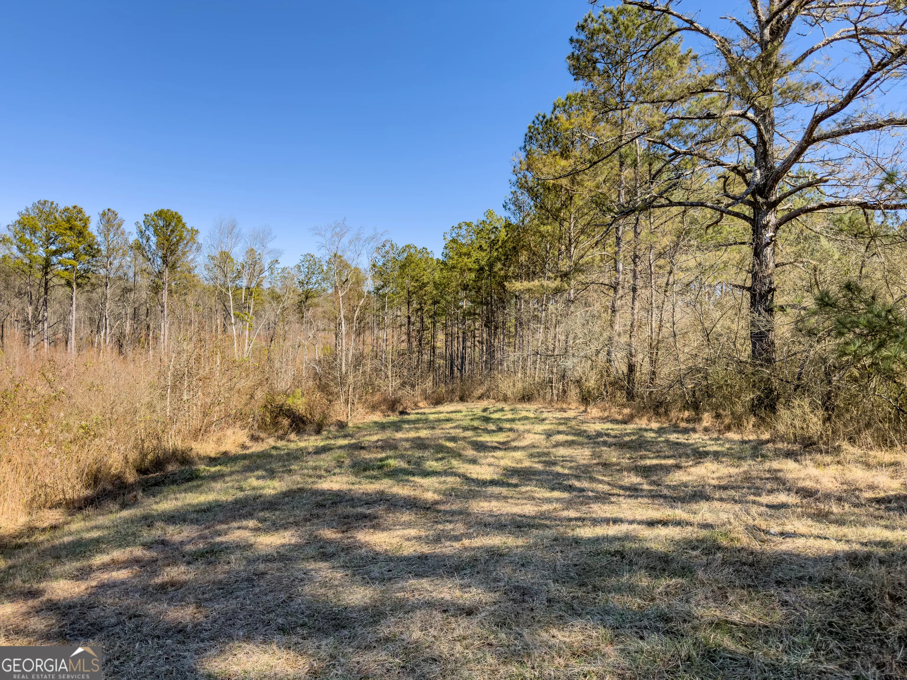 0 Steadman Rd — photo 19 of 42