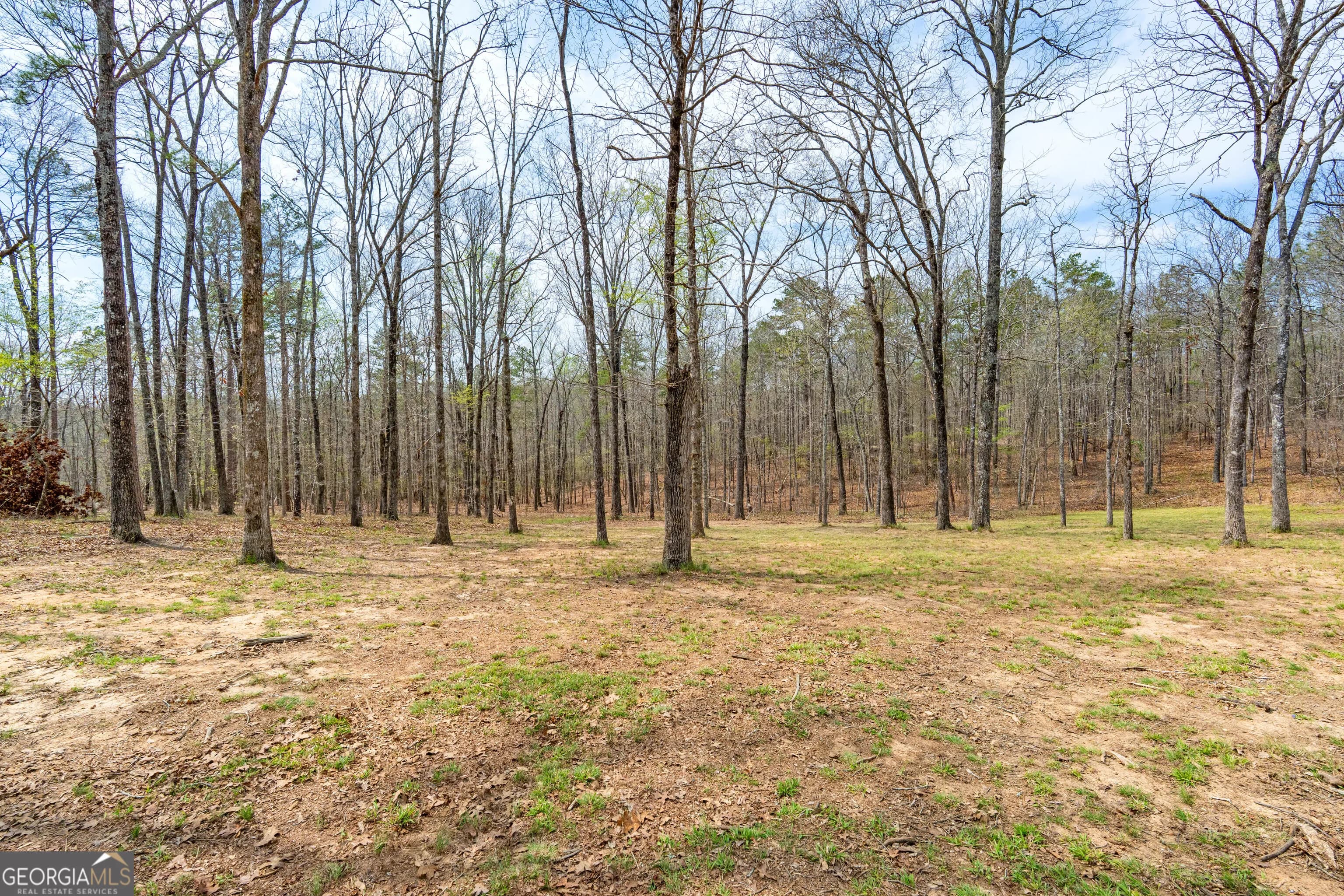 733 Cherry Rd — photo 47 of 67