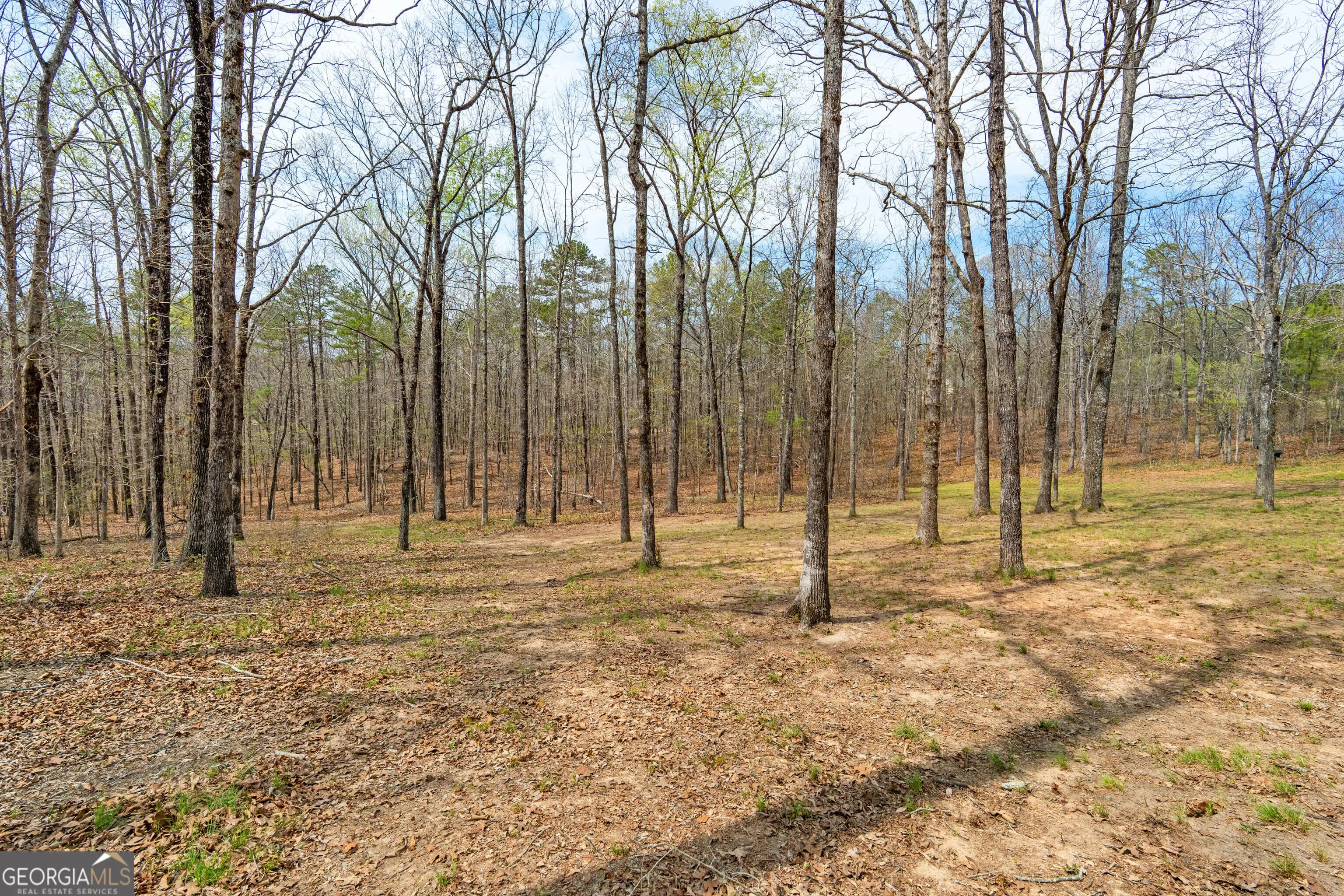 733 Cherry Rd — photo 48 of 67