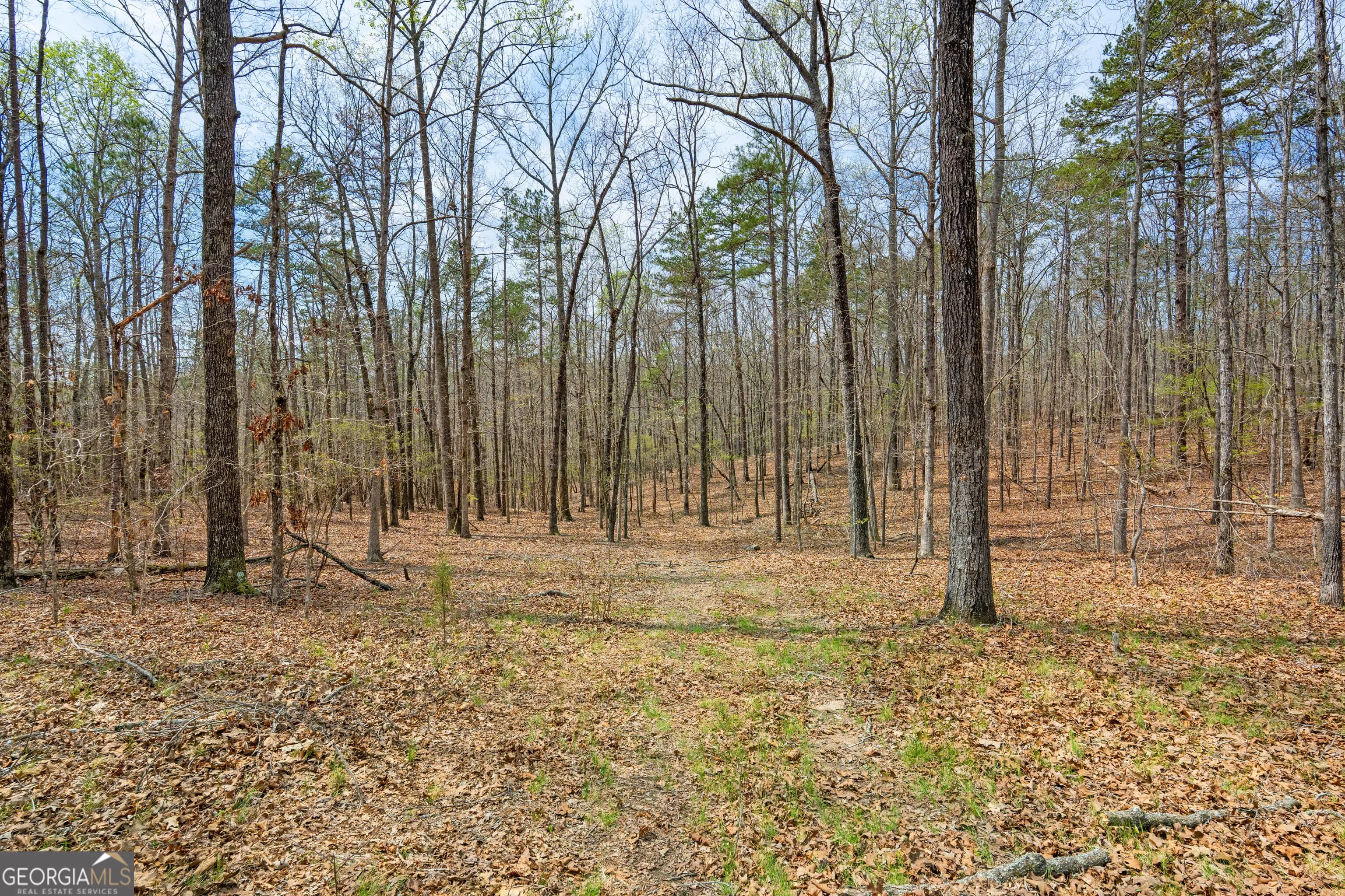 733 Cherry Rd — photo 49 of 67