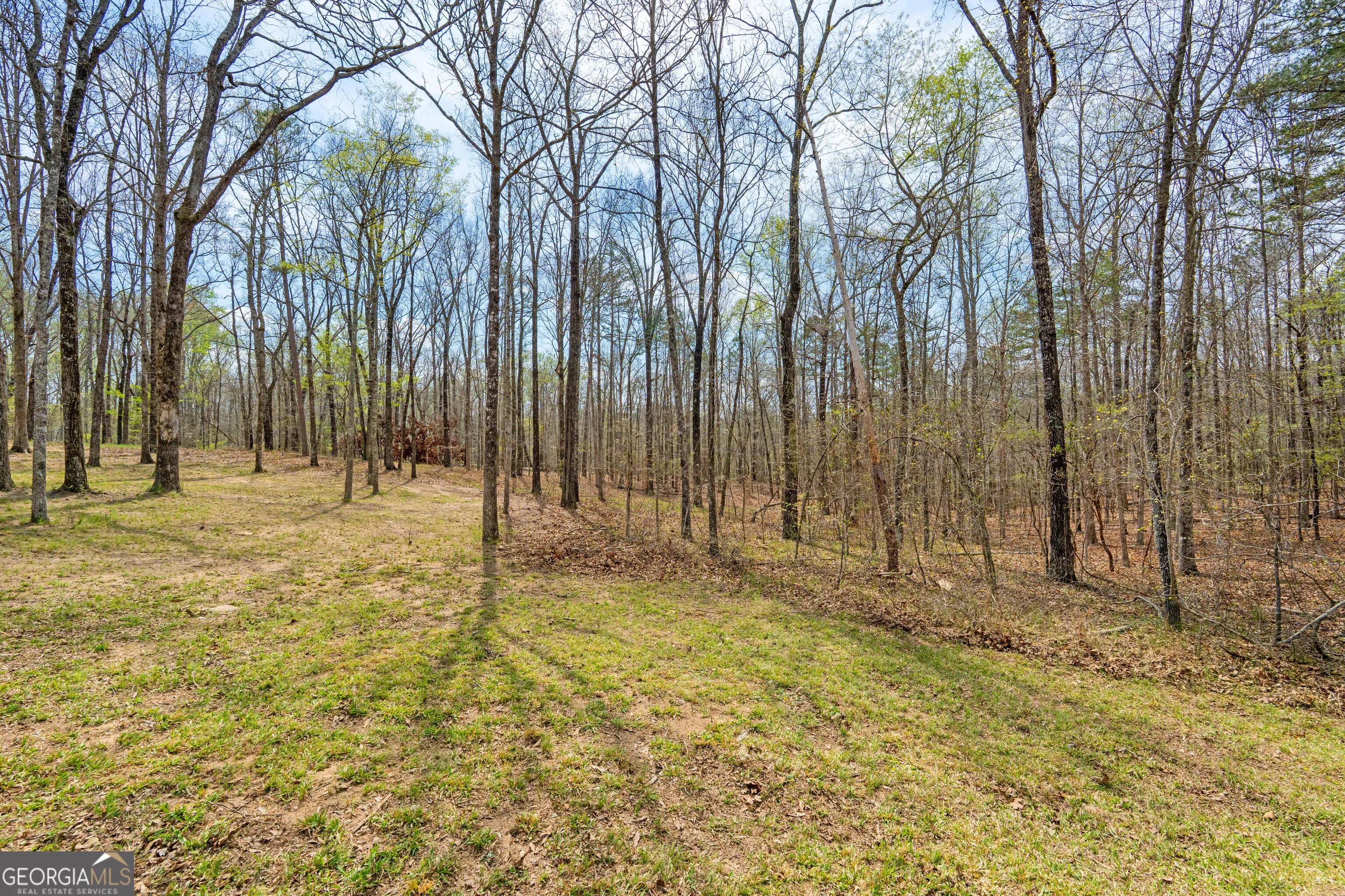 733 Cherry Rd — photo 50 of 67