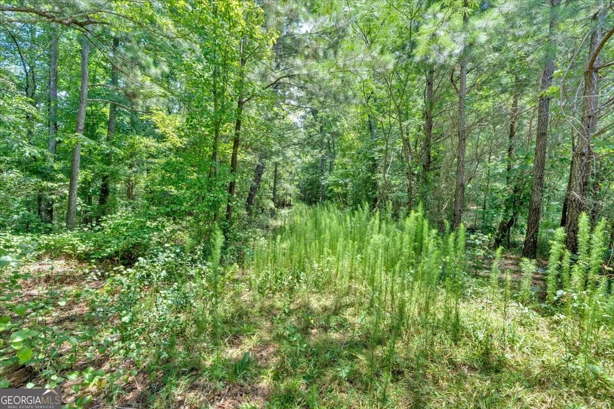 0 Timmons Cir — photo 3 of 20