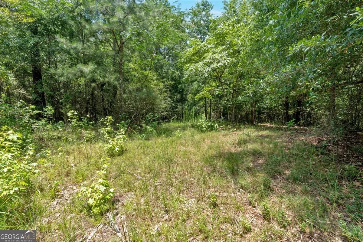 0 Timmons Cir — photo 11 of 20