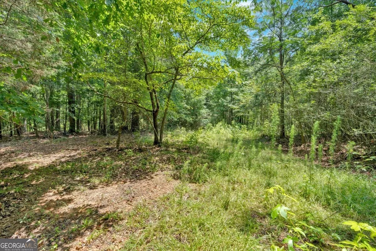 0 Timmons Cir — photo 10 of 20