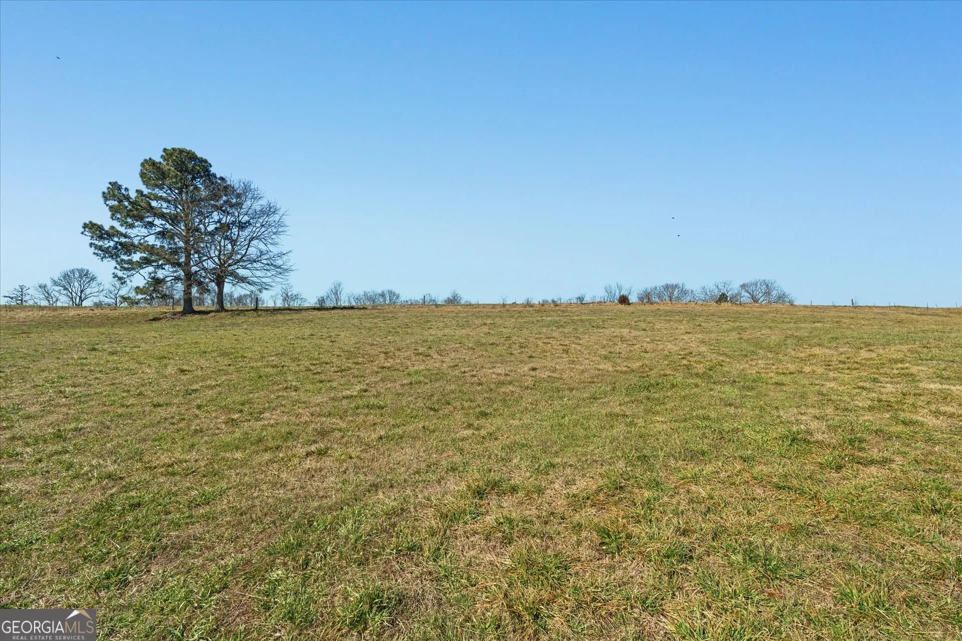 585 Sardis Bethel Rd — photo 13 of 24