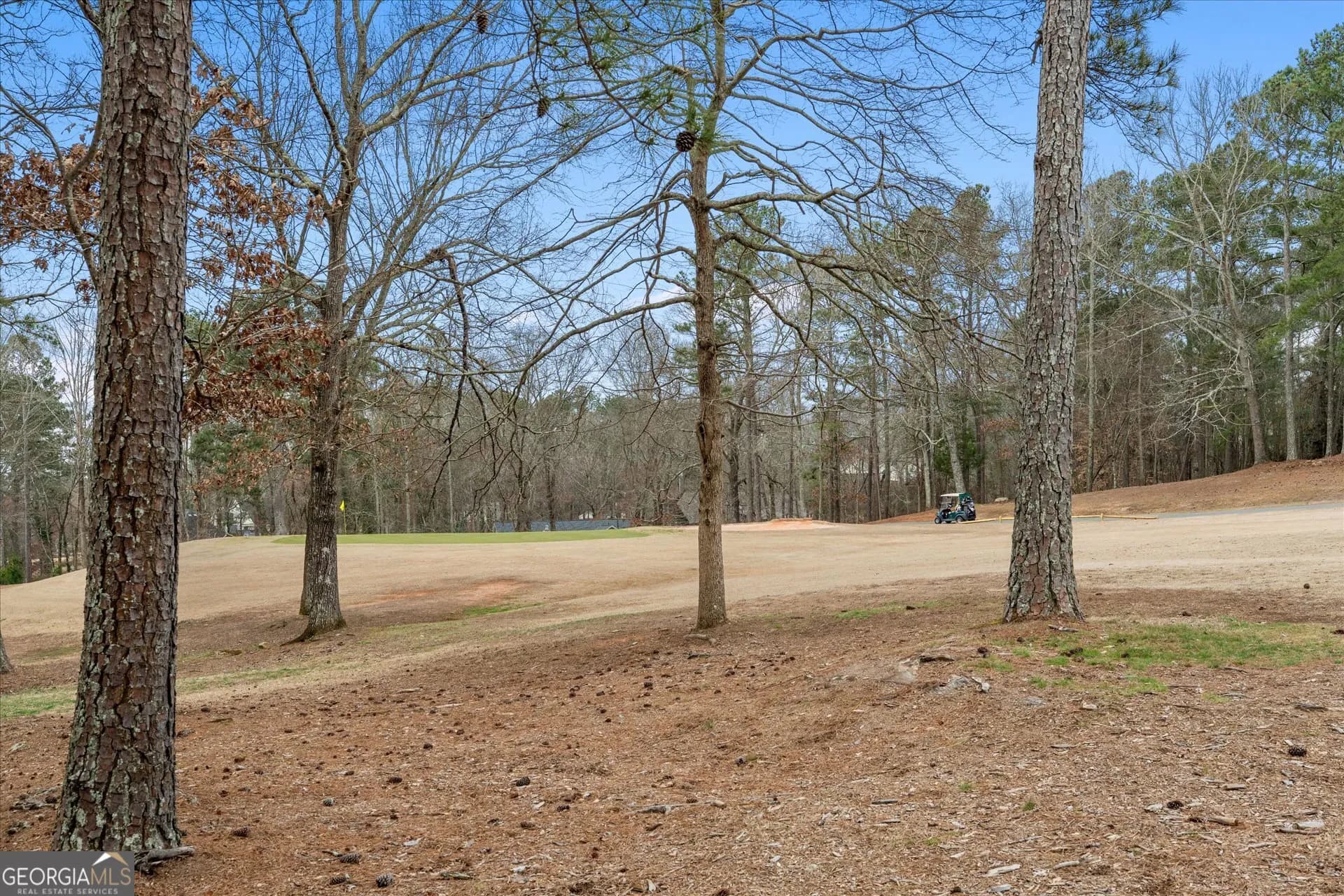 7349 S Mitchell Ct — photo 49 of 58