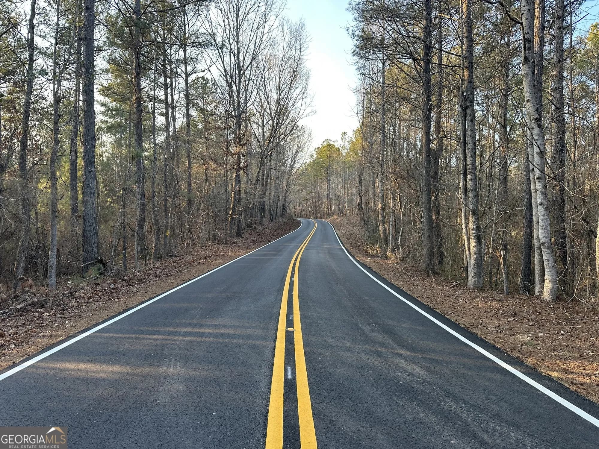 0 - Tract 1 Mt Zion Church Rd — photo 12 of 28