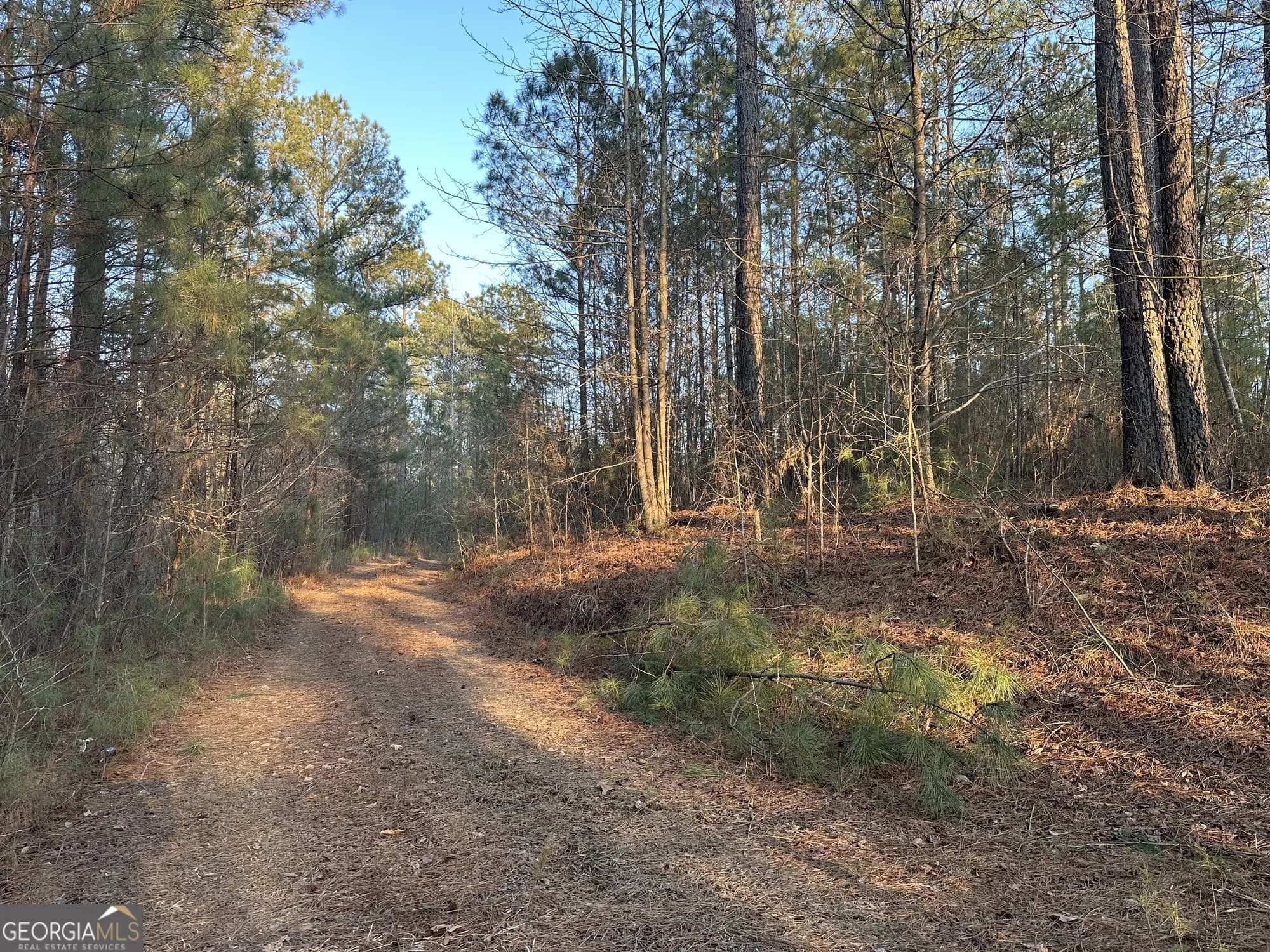 0 - Tract 1 Mt Zion Church Rd — photo 10 of 28