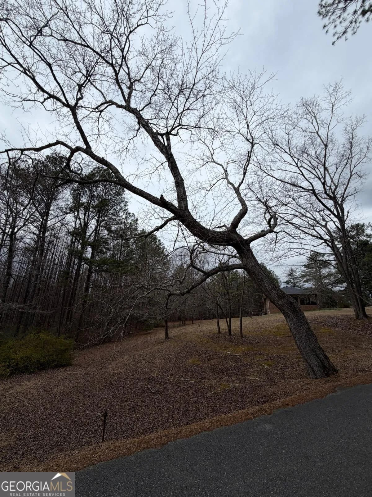 363 Lane Rd — photo 18 of 39
