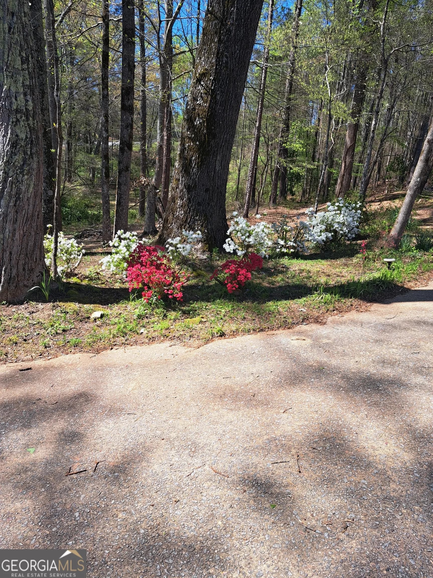 2014 S 16 Hwy — photo 71 of 76