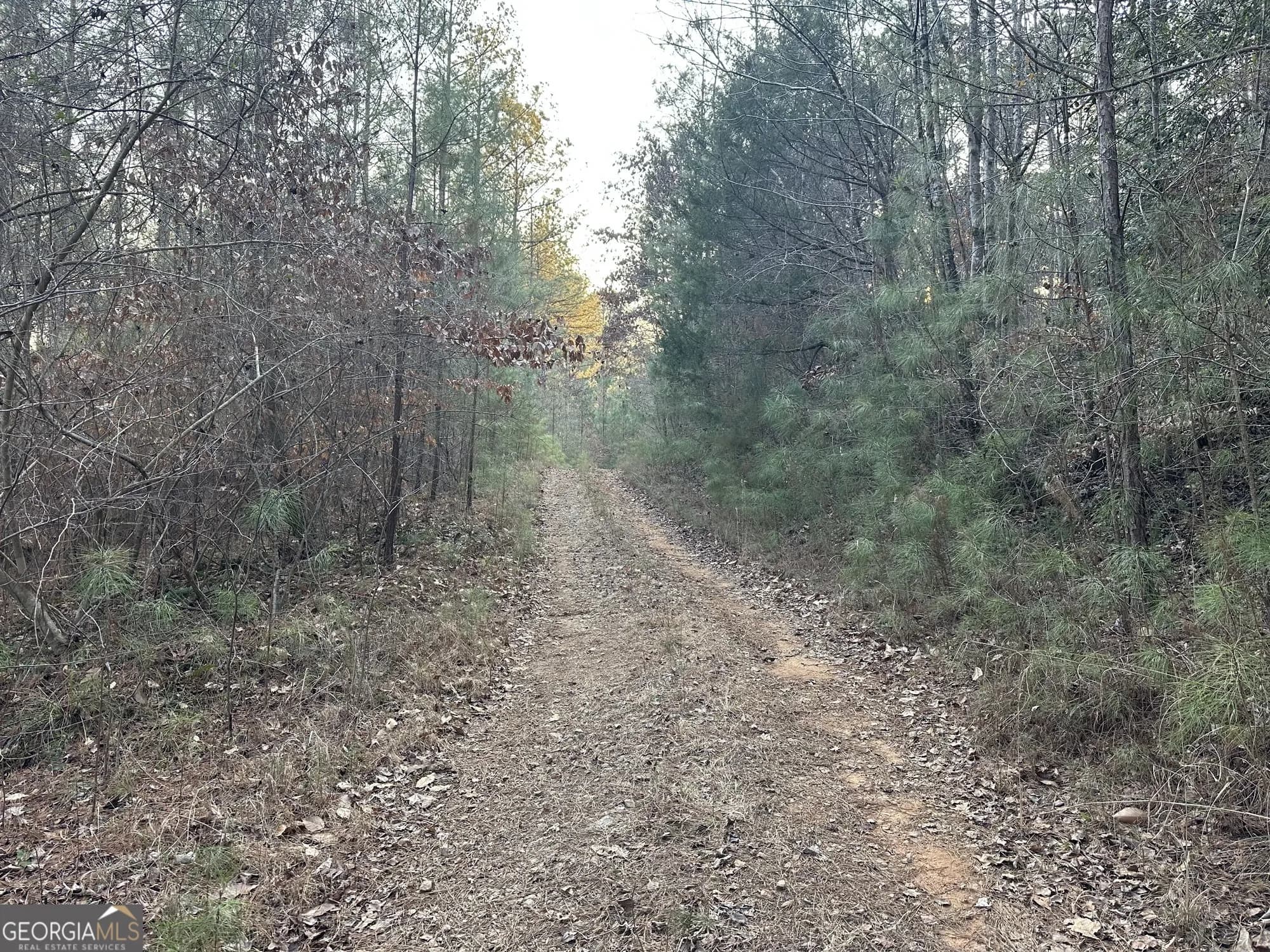 0 - Tract 3 Mt Zion Church Rd — photo 20 of 28