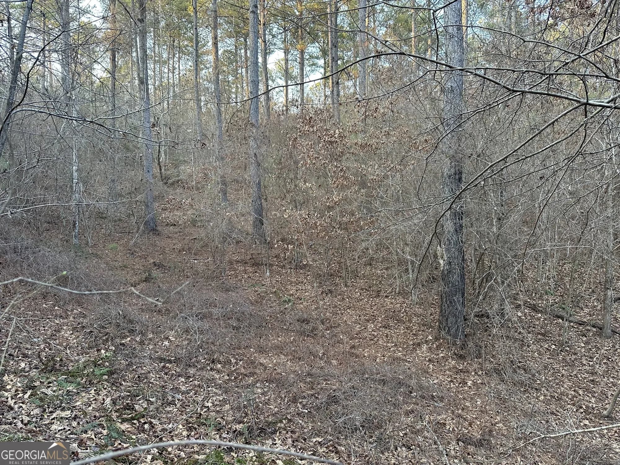 0 - Tract 3 Mt Zion Church Rd — photo 16 of 28