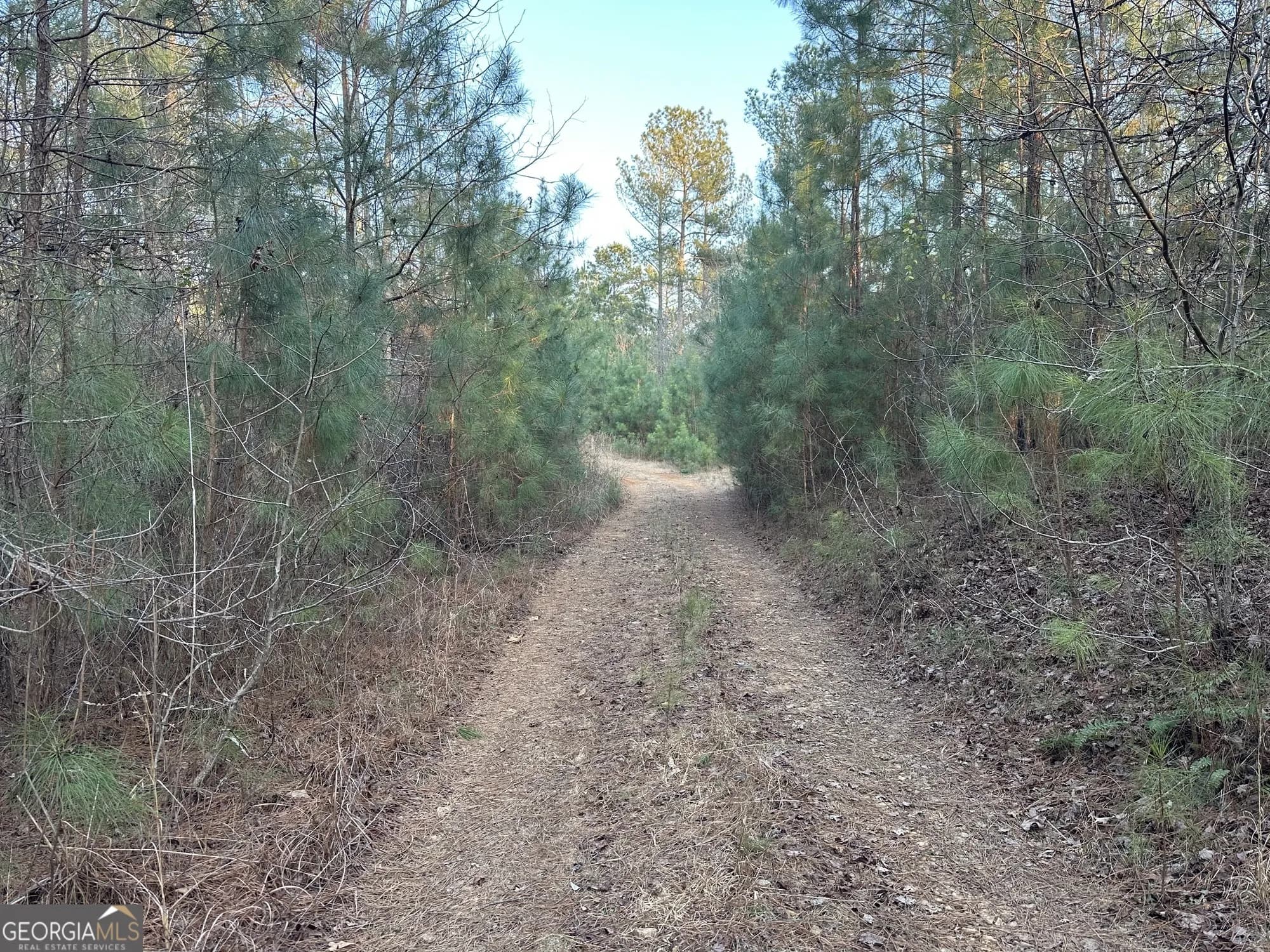 0 - Tract 3 Mt Zion Church Rd — photo 14 of 28