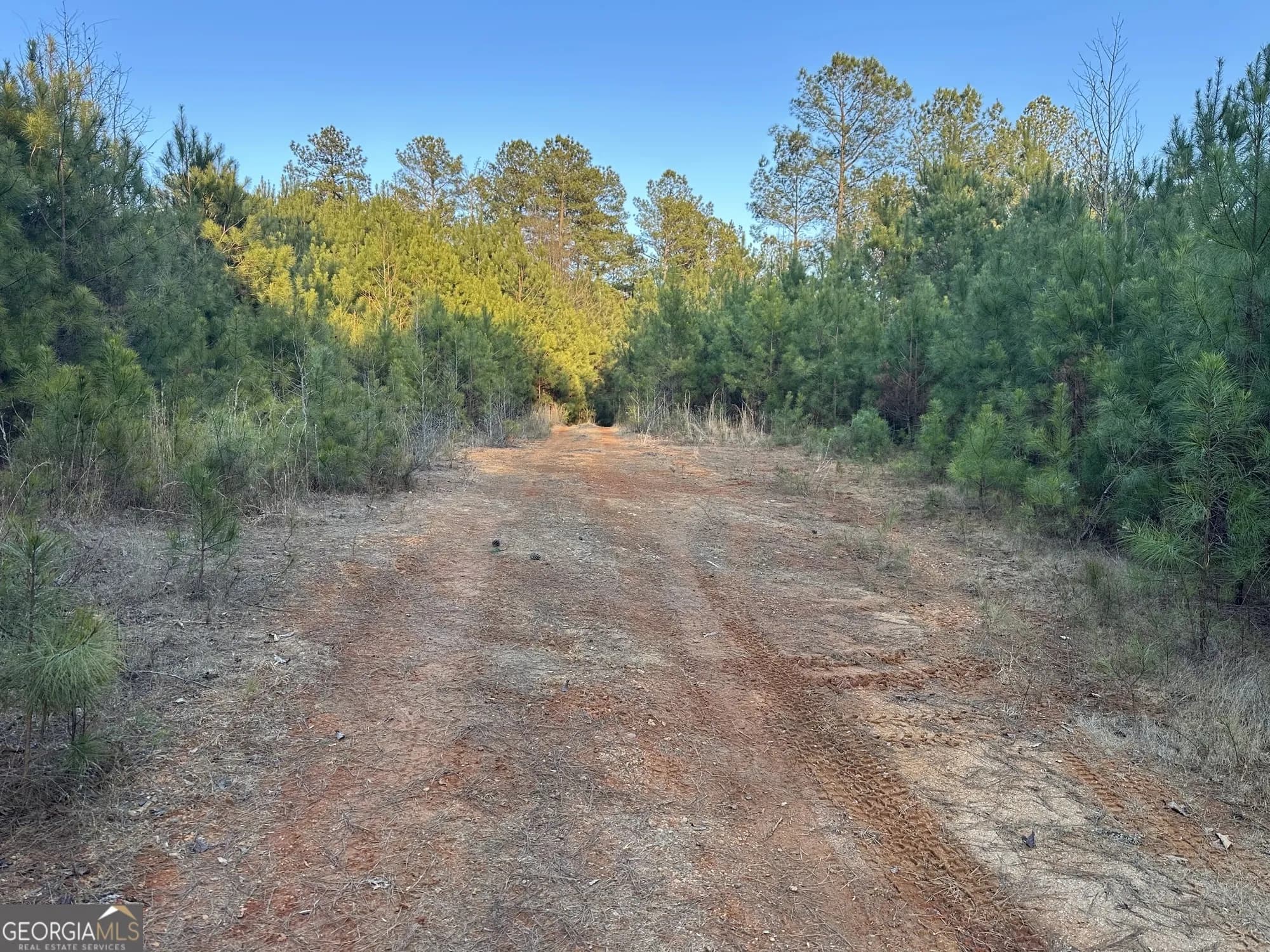 0 - Tract 3 Mt Zion Church Rd — photo 15 of 28