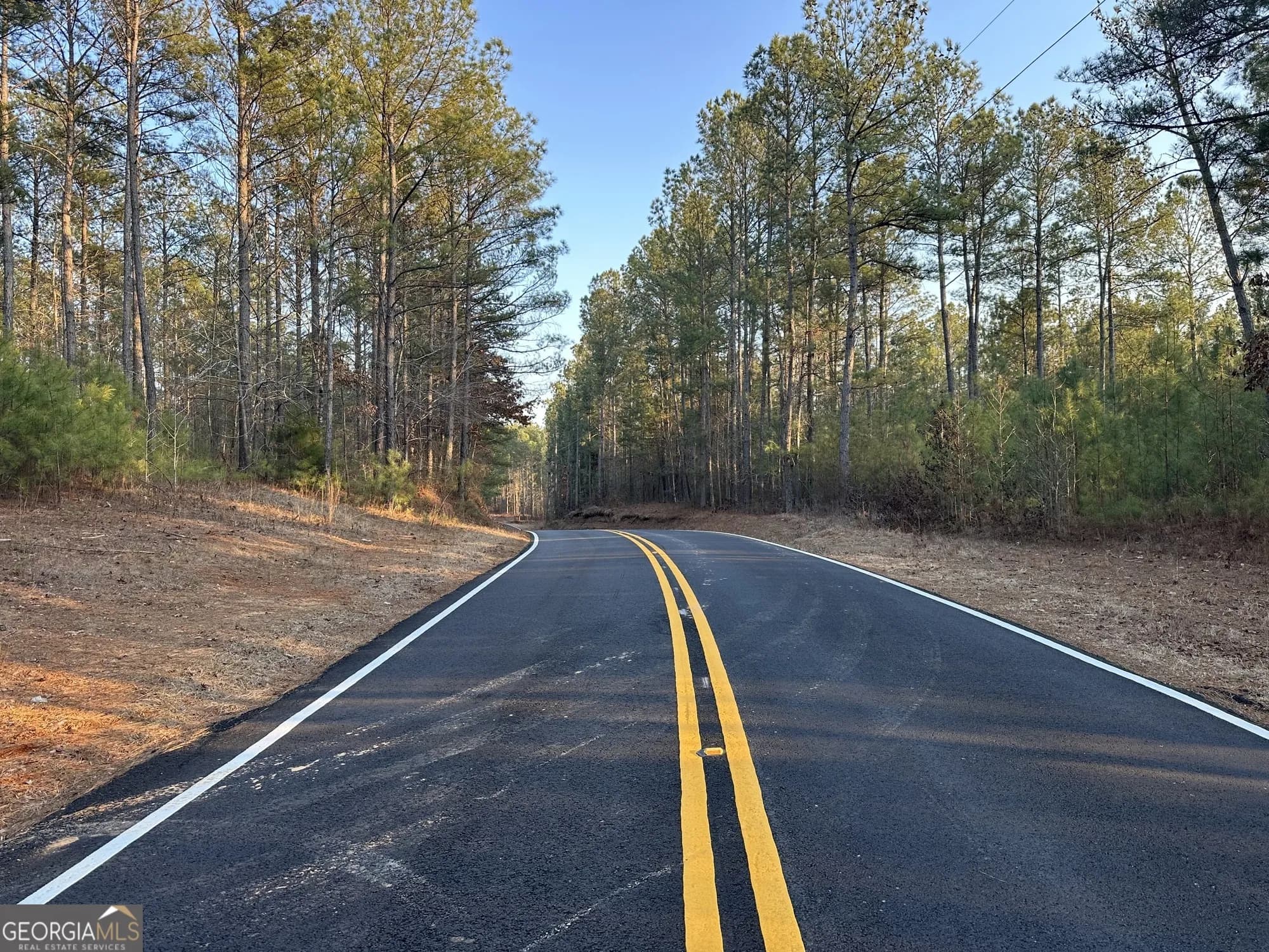 0 - Tract 3 Mt Zion Church Rd — photo 11 of 28