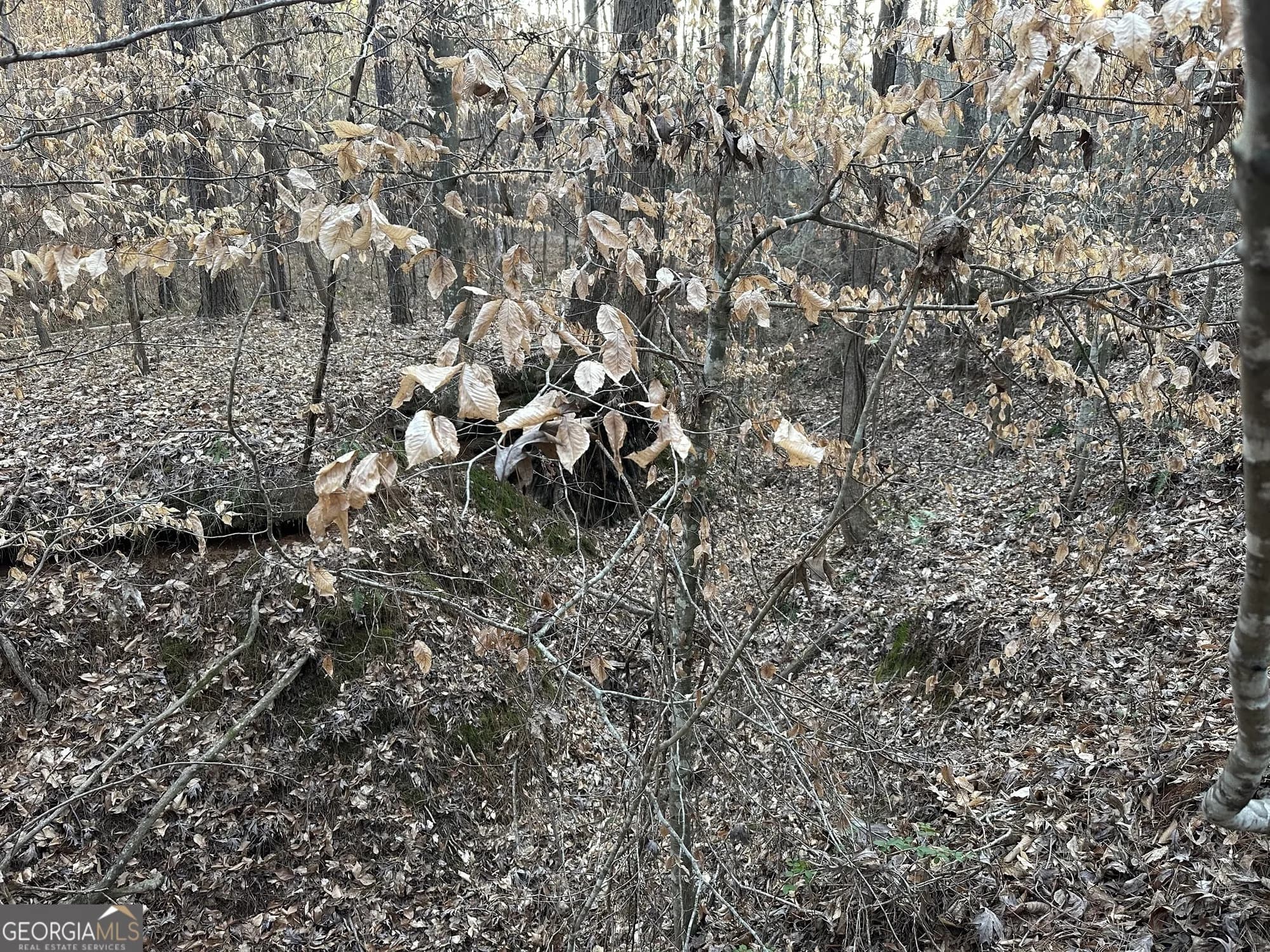 0 - Tract 4 Mt Zion Church Rd — photo 18 of 28