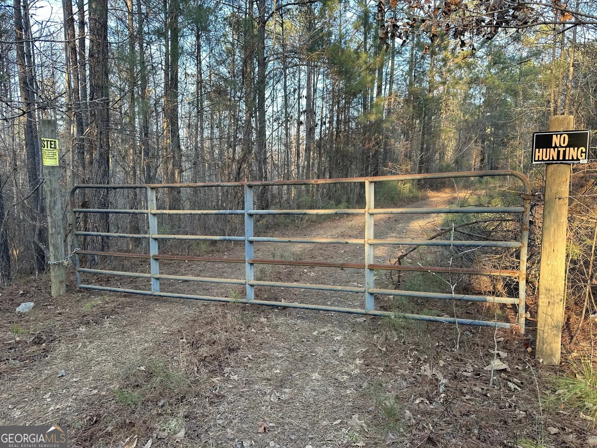 0 - Tract 4 Mt Zion Church Rd — photo 9 of 28