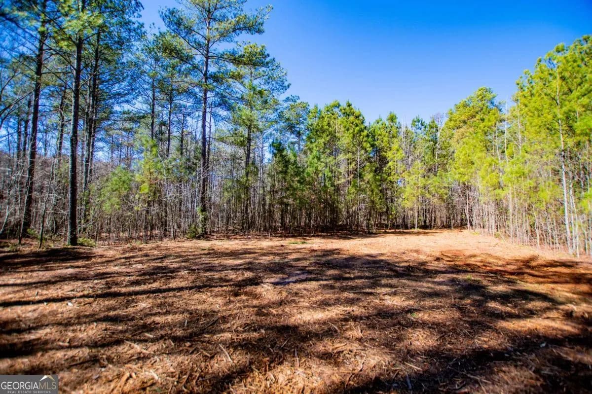 0 Hwy 166 E - 21+ Acres E, Bowdon