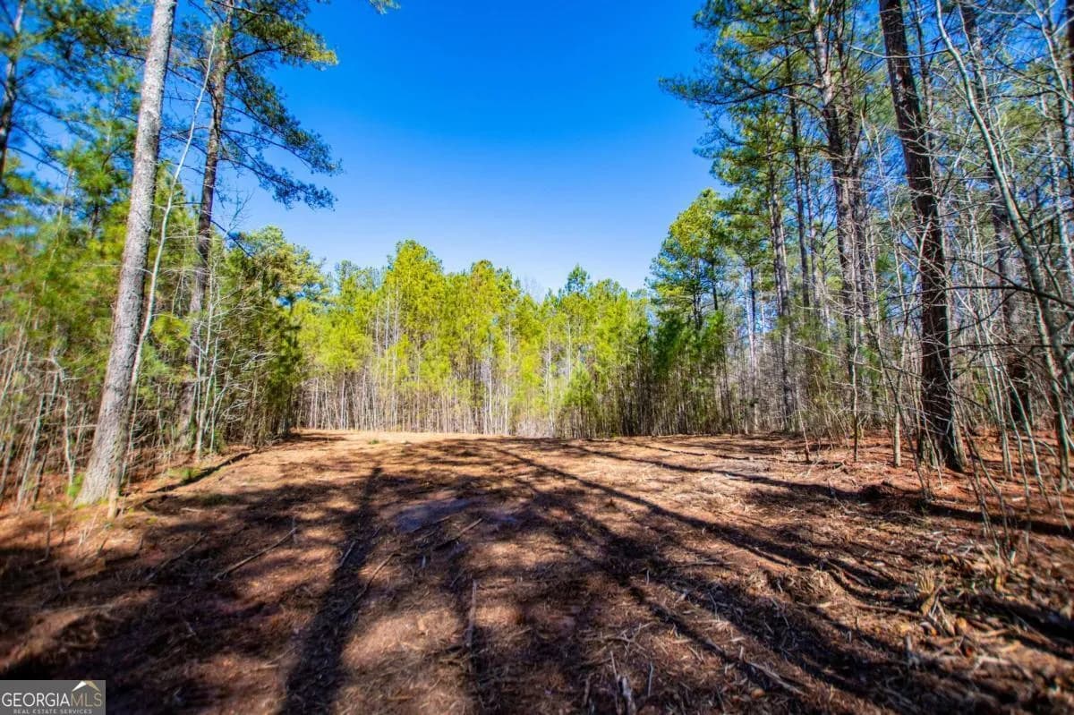 0 Hwy 166 E - 21+ Acres E — photo 16 of 22