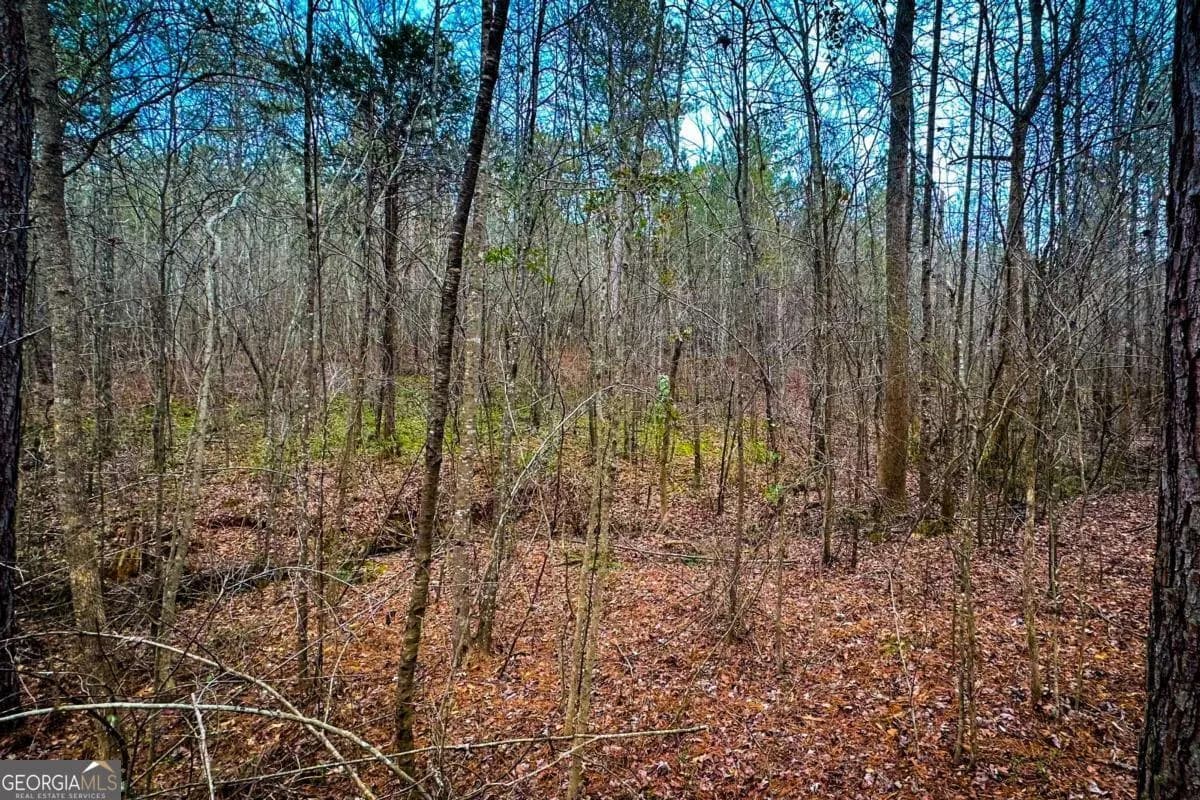 0 Hwy 166 E - 21+ Acres E — photo 12 of 22