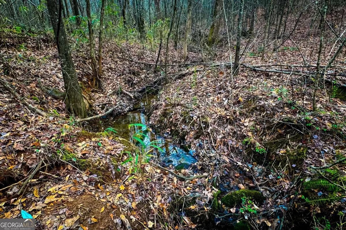 0 Hwy 166 E - 21+ Acres E — photo 10 of 22