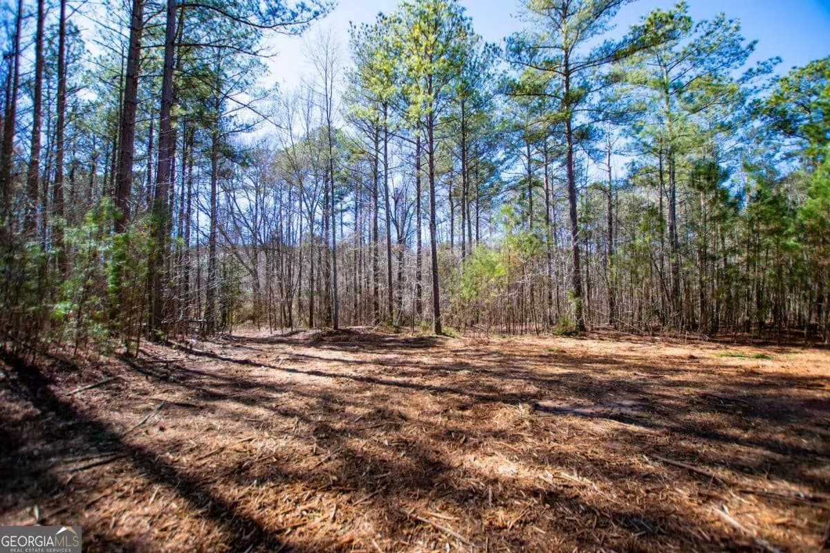 0 Hwy 166 E - 21+ Acres E — photo 18 of 22