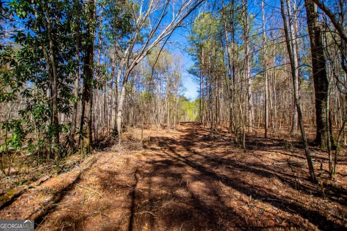 0 Hwy 166 E - 21+ Acres E — photo 13 of 22